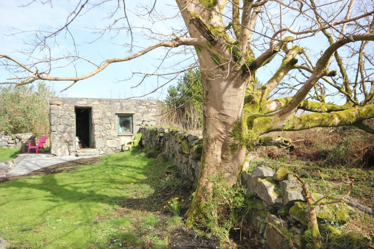 Atlantic Way Cottage Galway Esterno foto